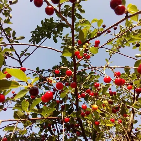 Sentiero 54 4* Cantiano