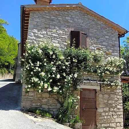 Sentiero 54 4* Cantiano
